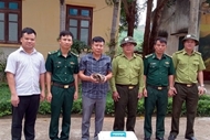 Phong Nha - Ke Bang National Park receives more endangered Sunda pangolins
